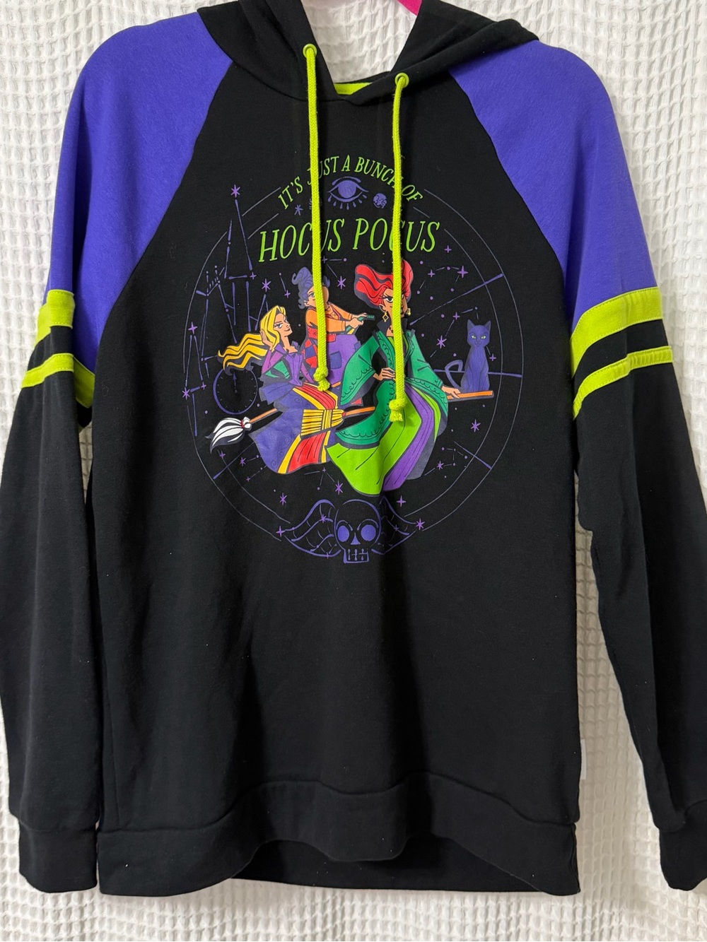 Disney Parks Hocus Pocus Pullover Hoodie